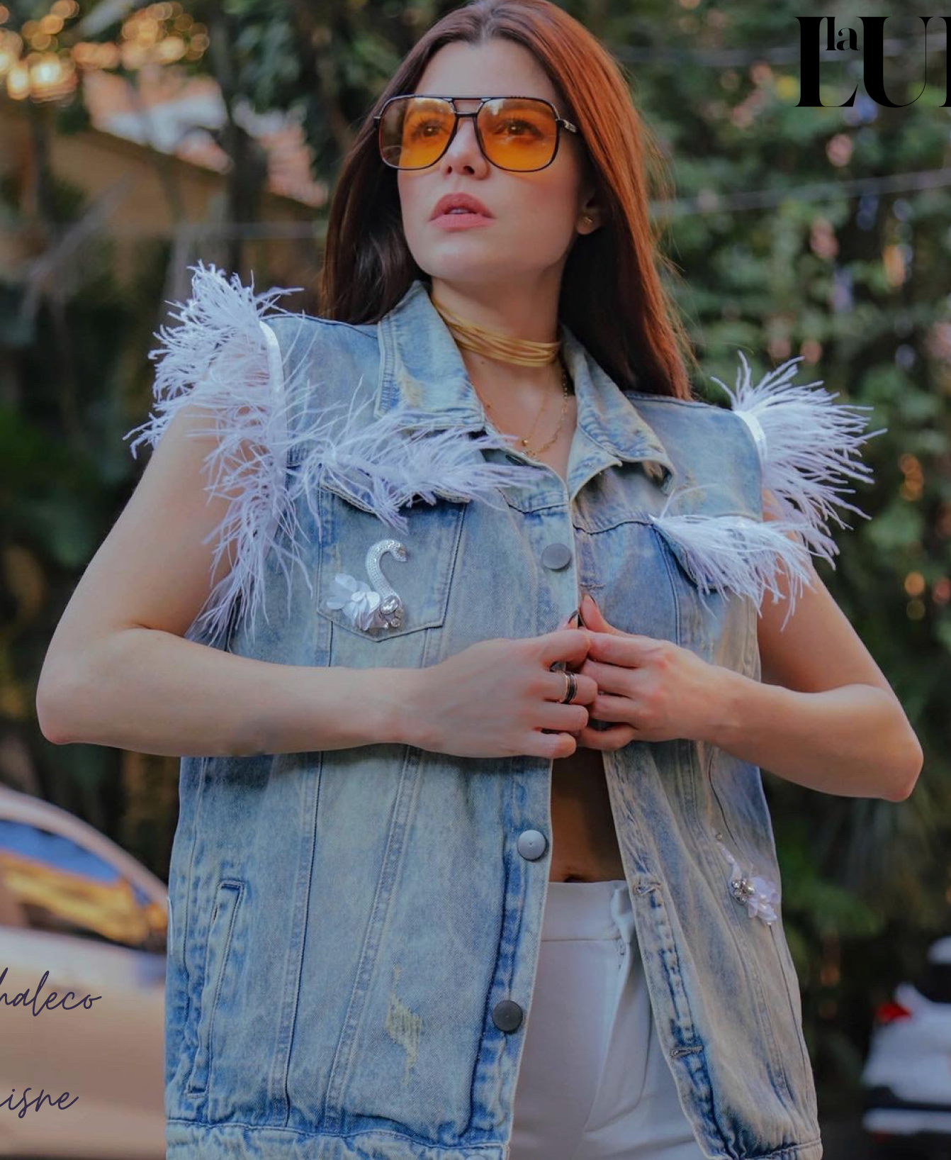 Denim Vest Hand made Swan design